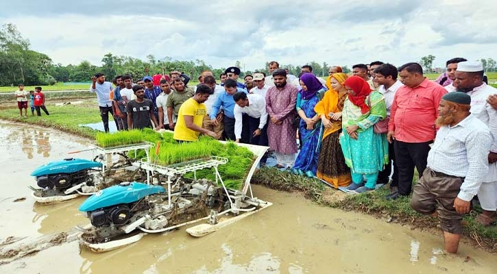 বগুড়ায় আধুনিক যন্ত্রের মাধ্যমে ধানের চারা রোপণ